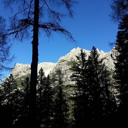בית אירוח A Casa Di Gio' Laggio di Cadore